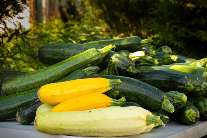 Herkulliset luomukesäkurpitsat