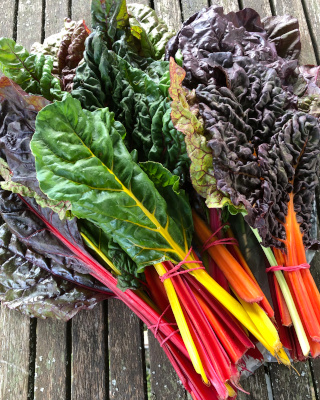 Herkullista lehtikaalia