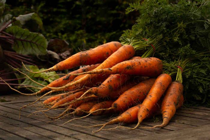 Herkullisia luomuporkkanoita