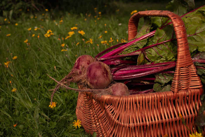 Herkullisia luomupunajuuria